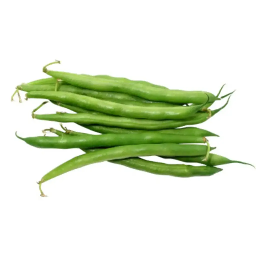 Ejote