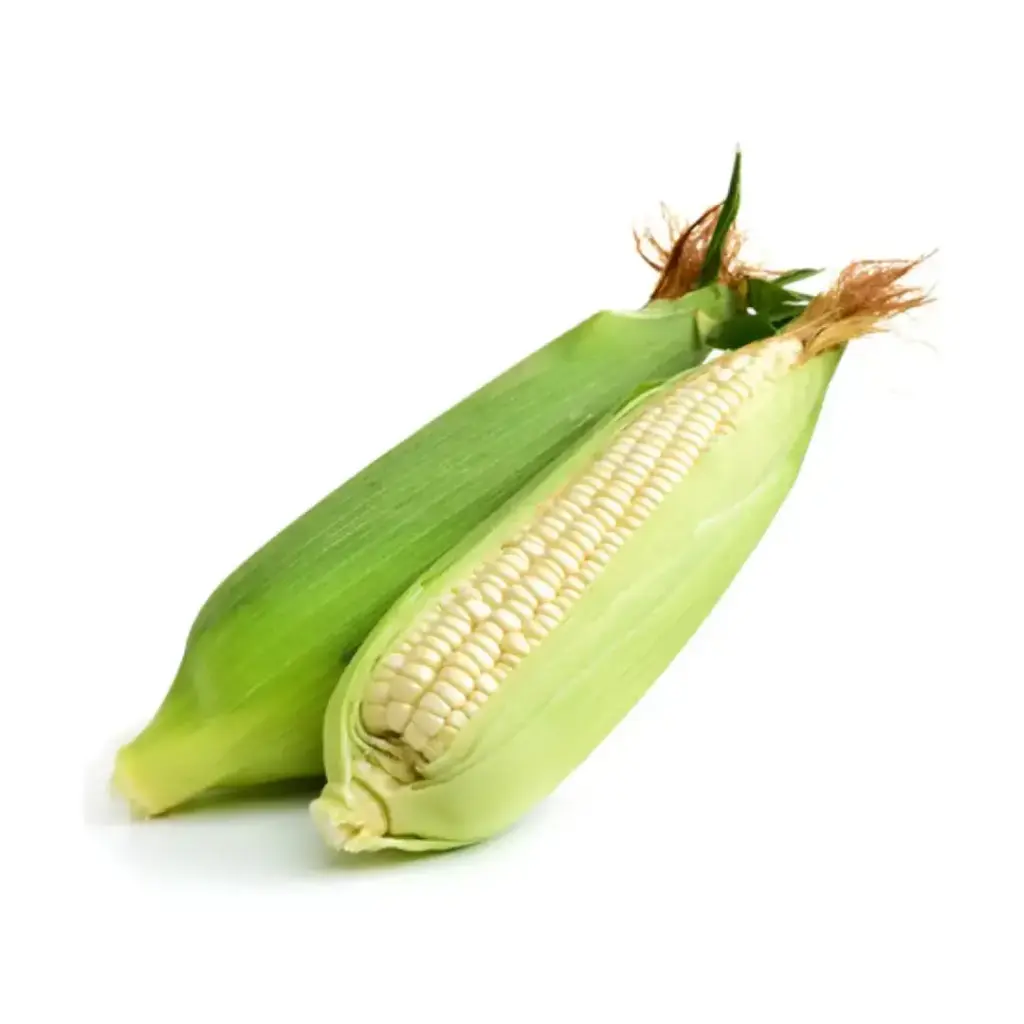 Elote
