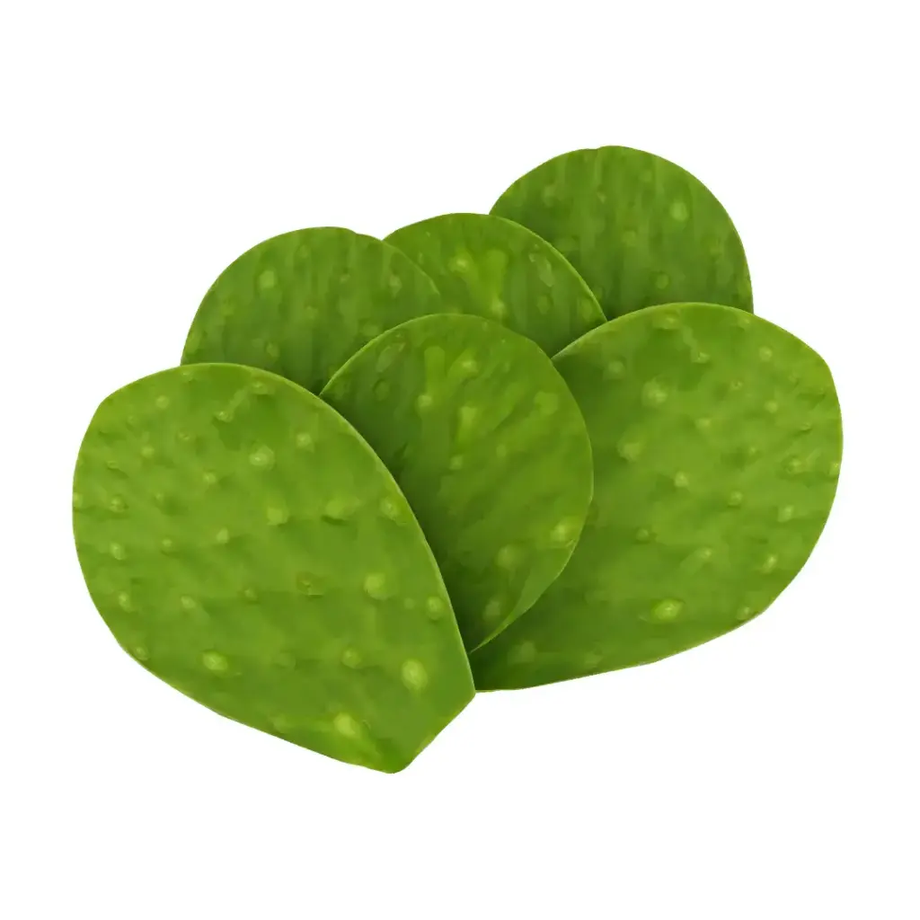 Nopal