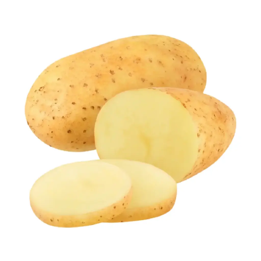 Papa blanca