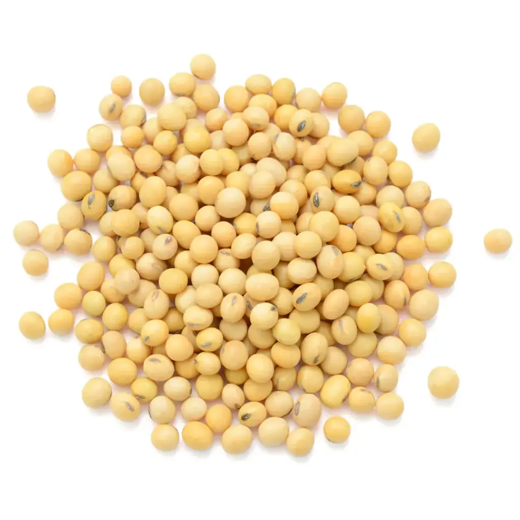 Soya
