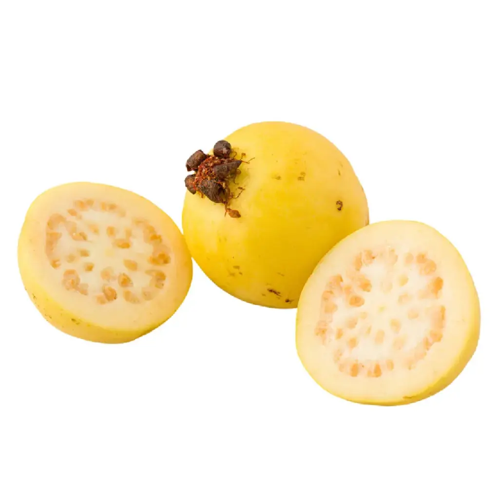 [5219] Guayaba