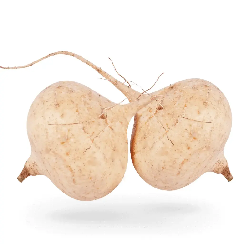 [5032] Jicama