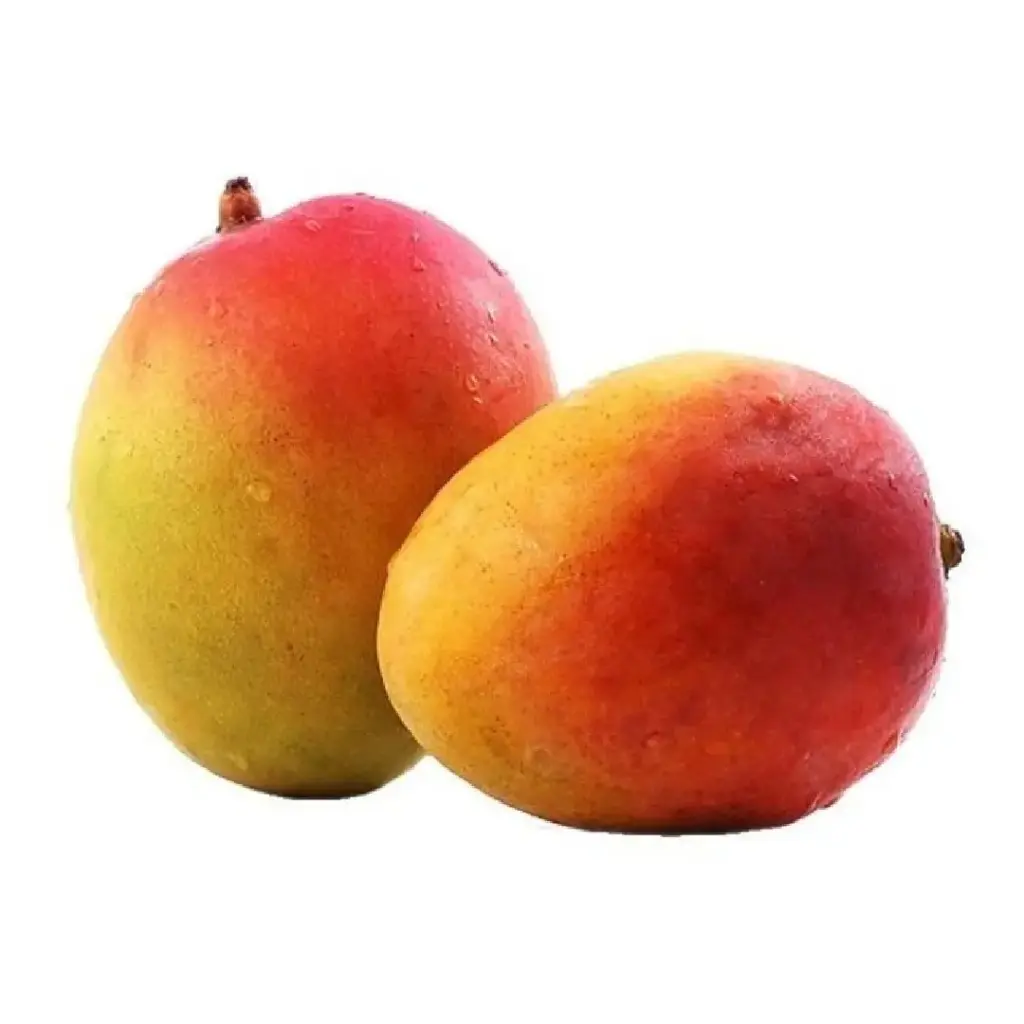 [5212] Mango petacon