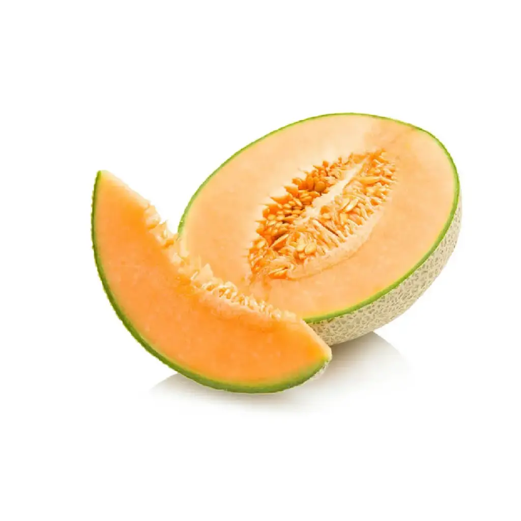 [5206] Melon
