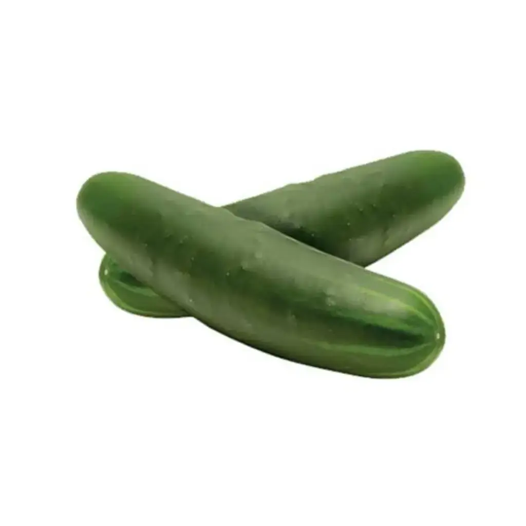 [5055] Pepino americano
