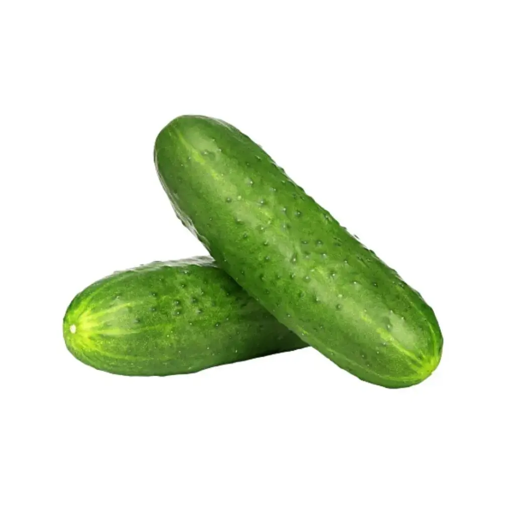 [5031] Pepino criollo