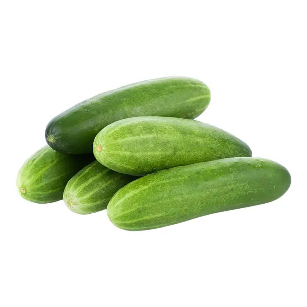 [5040] Pepino Persa