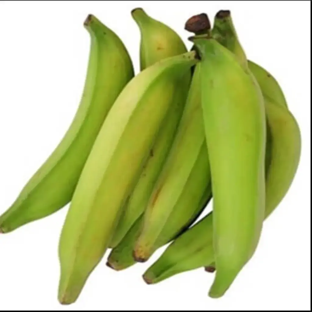 [5204] Platano macho